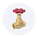 Fip ball valve